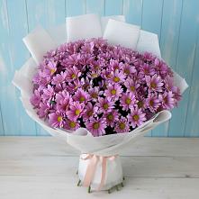Букет цветов из:  Хризантемы в Первомайском Ставропольского края