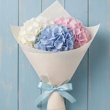 Букет цветов из:  Гортензия в Первомайском Ставропольского края