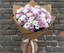 Букет цветов из:  Хризантемы #REPLACE_PRED# Первомайском Ставропольского края