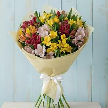 Букет цветов из:  Альстромерии #REPLACE_PRED# Первомайском Ставропольского края