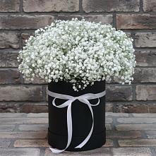 Цветочная композиция из Гипсофила в шляпной коробке в Первомайском Ставропольского края