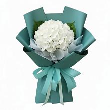 Букет цветов из:  Гортензия в Первомайском Ставропольского края